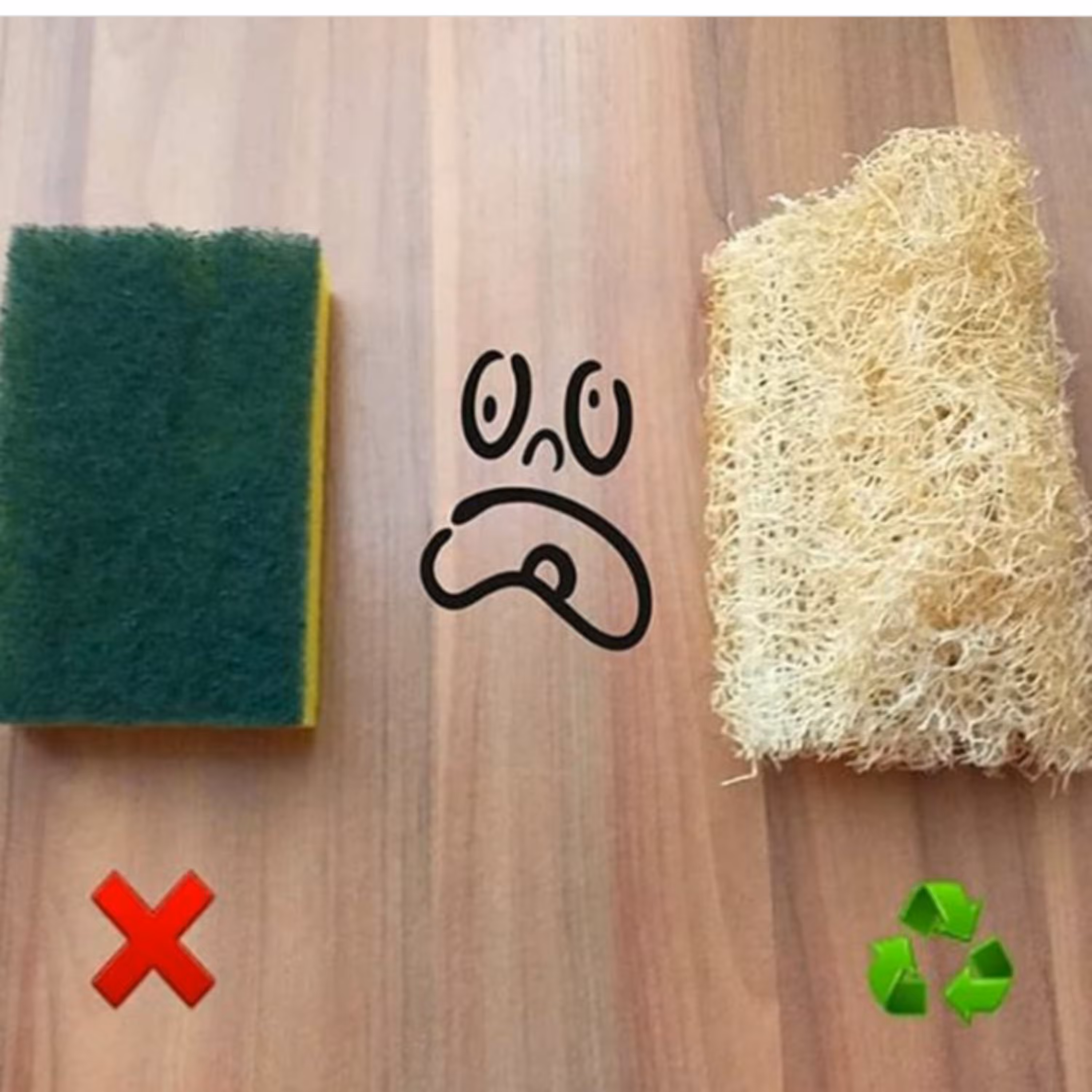 3 عدد اسکاج گیاهی لوفا 