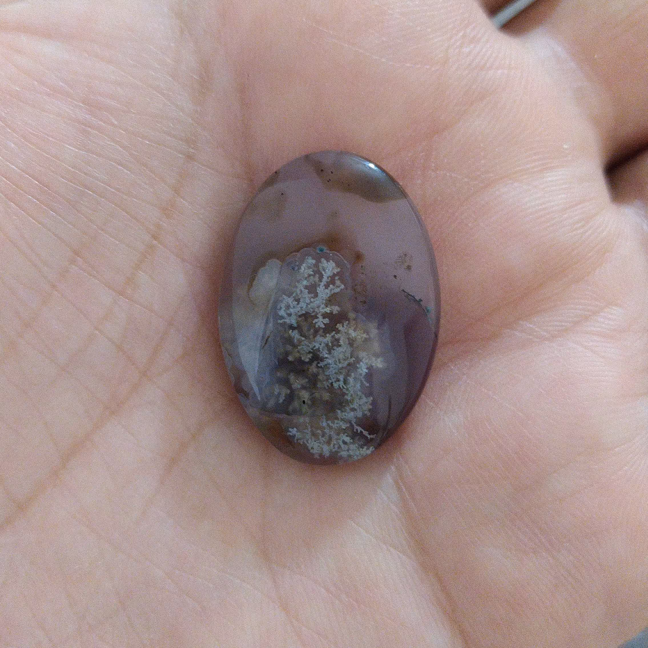 نگین شجر بهاره