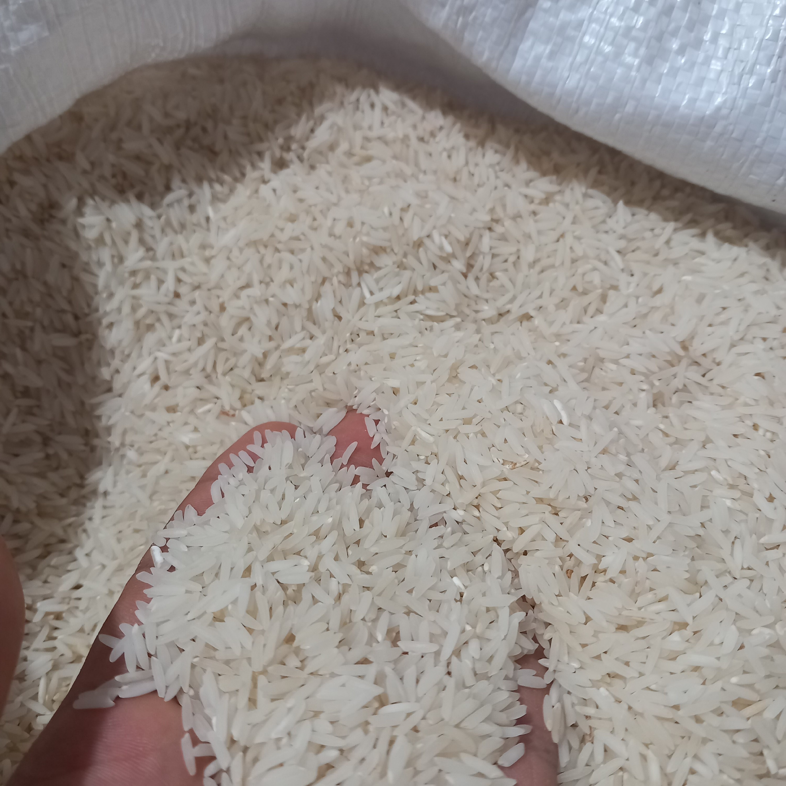 برنج طارم دمسیاه شمال درجه یک در بسته بندی 20 کیلویی