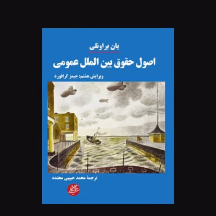 اصول حقوق بین المللی عمومی