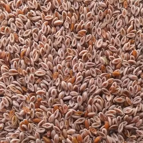 اسفرزه اعلاء 100 گرم 