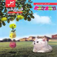 فیزیک دهم ریاضی زیر ذره بین کاپ | چی بخونم