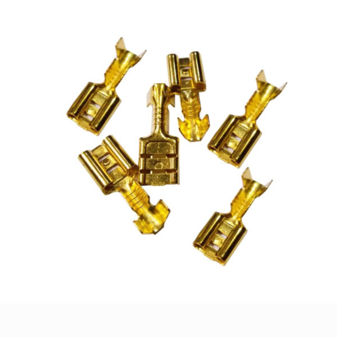 فیش کولری