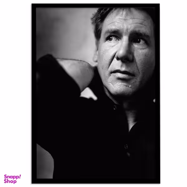 تابلو بکلیت طرح هریسون فورد مدل B-s604