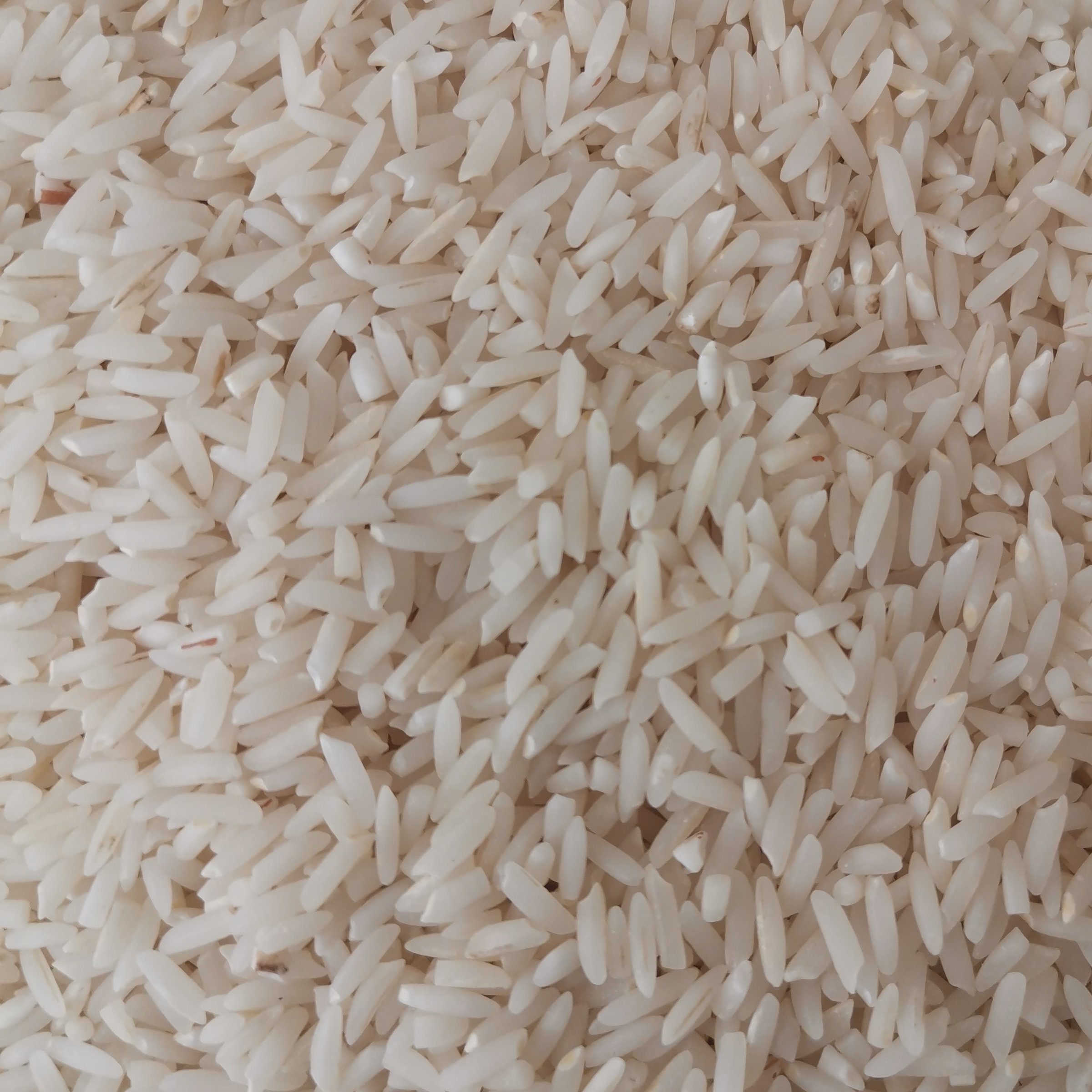 برنج دمسیاه محلی باکیفیت(10کیلویی)-مینودشت