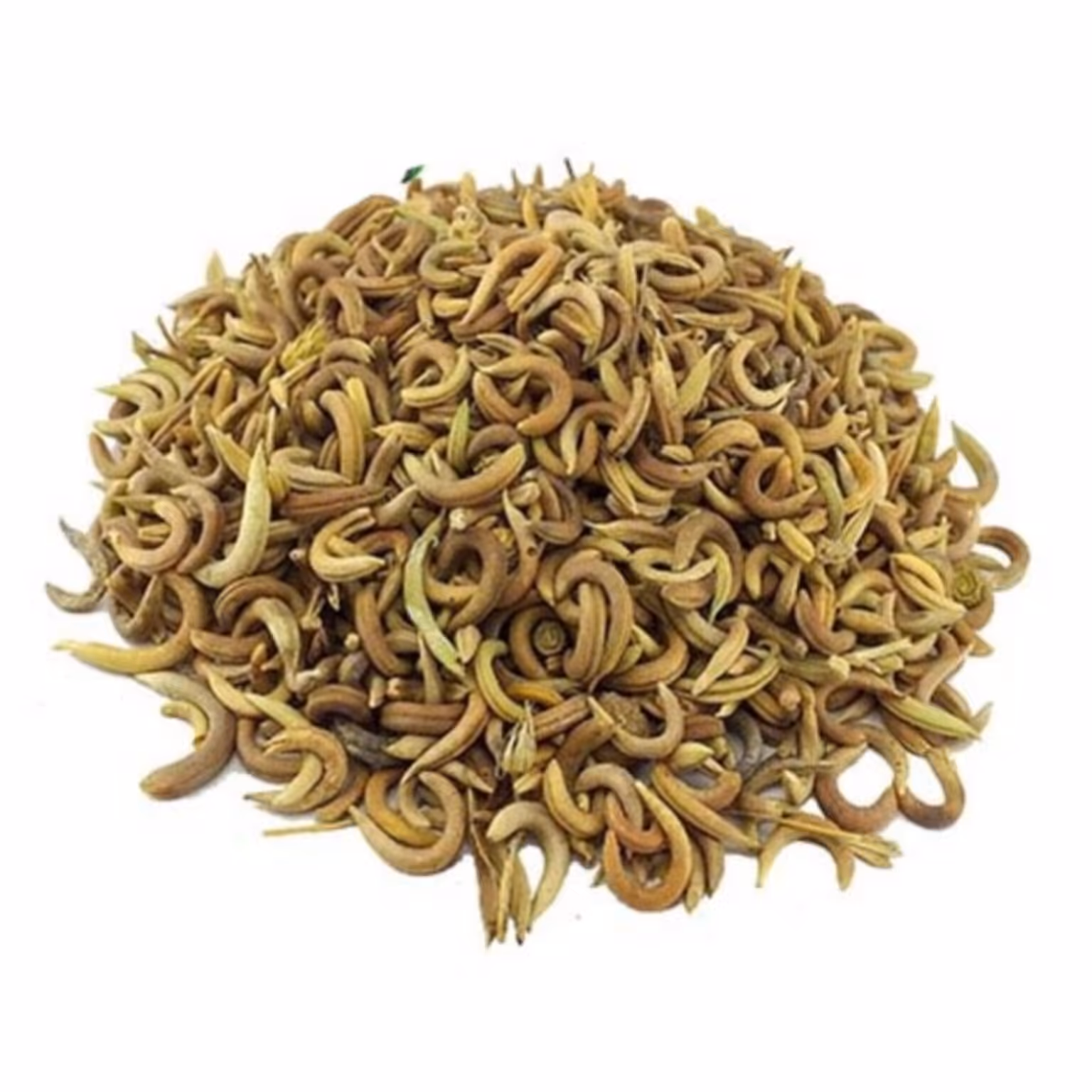 اکلیل الملک یا ناخونک