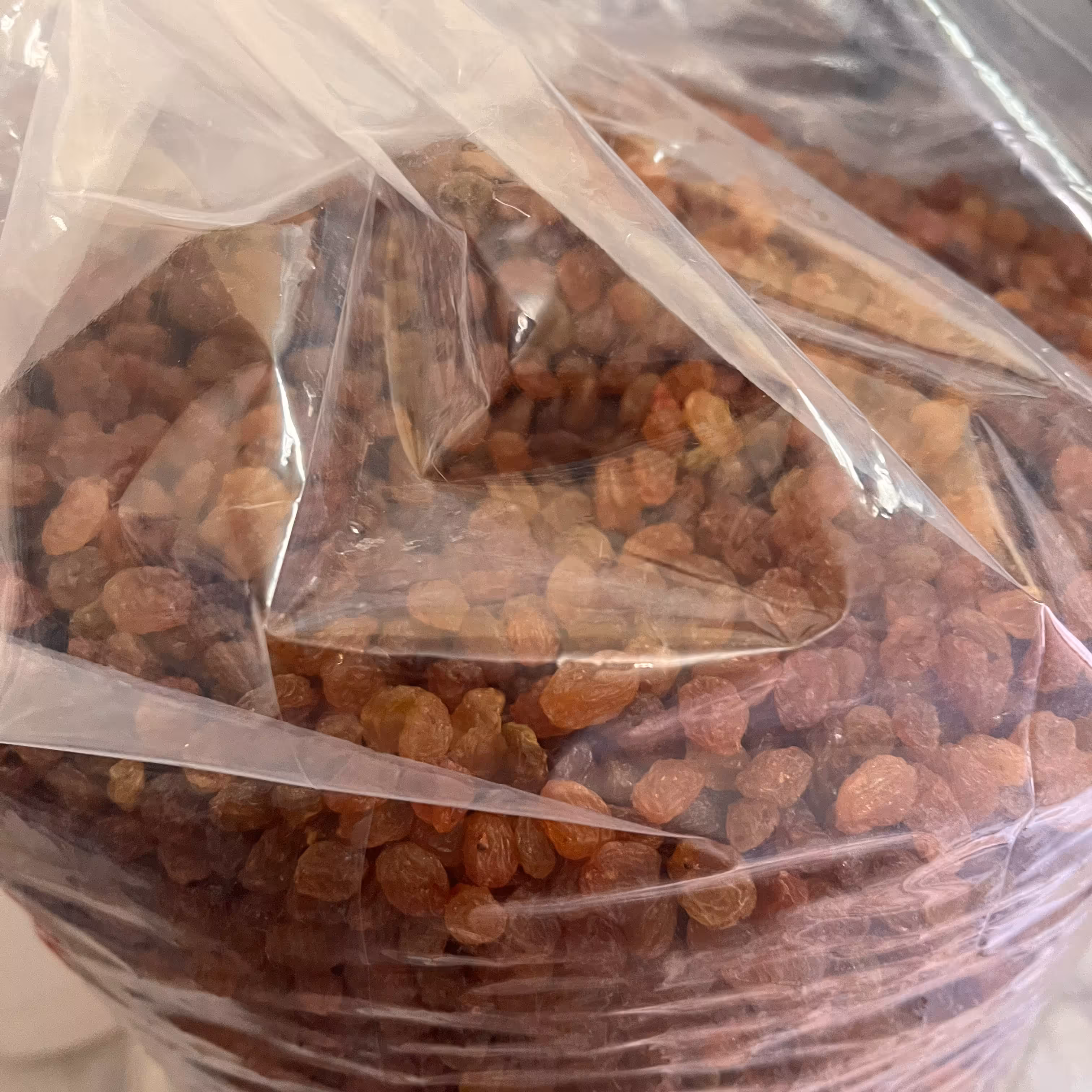 کشمش افتابی پاک شده  و شسته شده