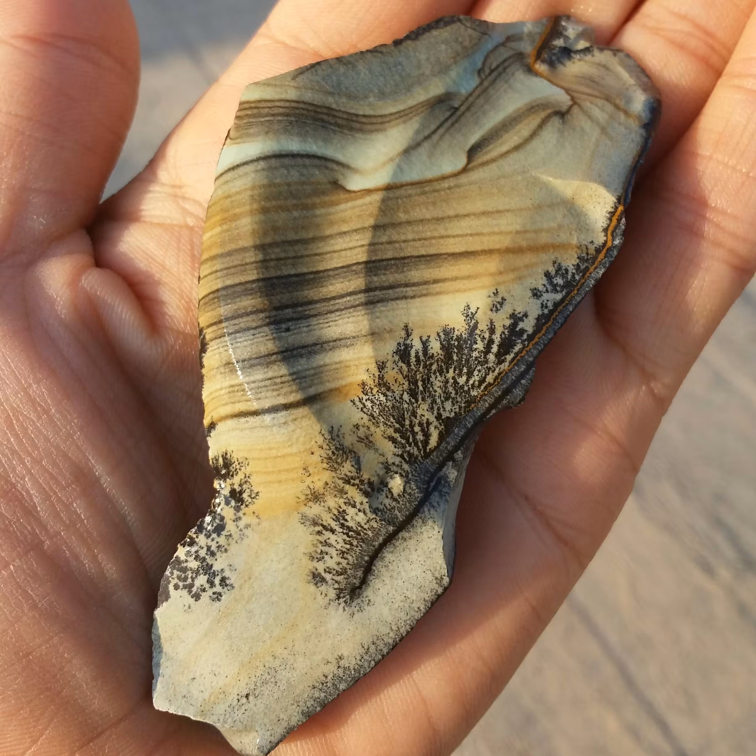 سنگ راف جاسپر منظره شجردار بسیار کمیاب خاص 100 در 100 طبیعی شاهکار خلقت
شجر واضح
تصویر از دو طرف نمونه
