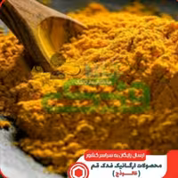 ادویه کاری فدک (100گرم)