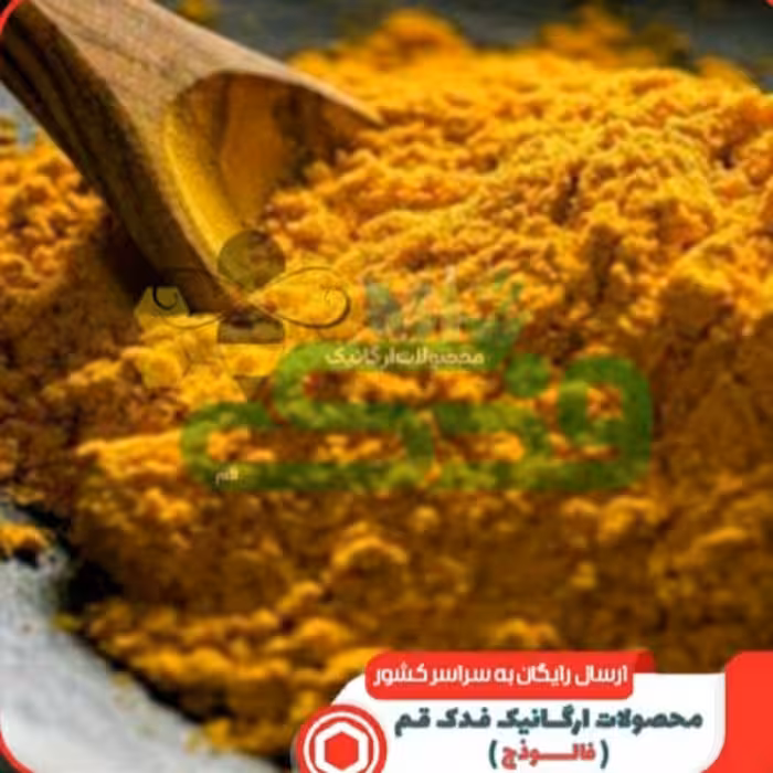 ادویه کاری فدک (100گرم)