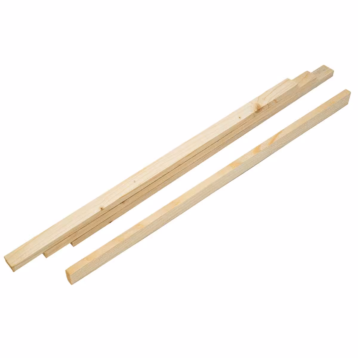 تیرک پرورش ملکه