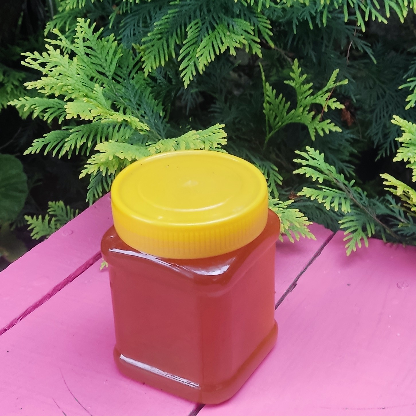 عسل کوه گون و آویشن خوش طعم و رنگ ، نیم کیلویی
