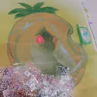 نقاشی باالماس عروس هلندی