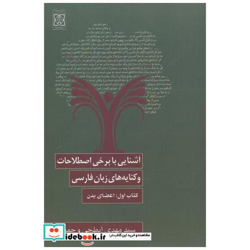 کتاب آشنایی با برخی اصطلاحات و کنایه های زبان فارسی اثر سیدمهدی ابطحی