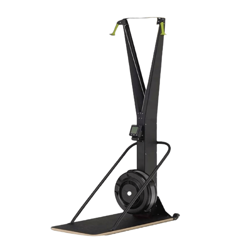اسکی ارگ GYMAX مدل G300