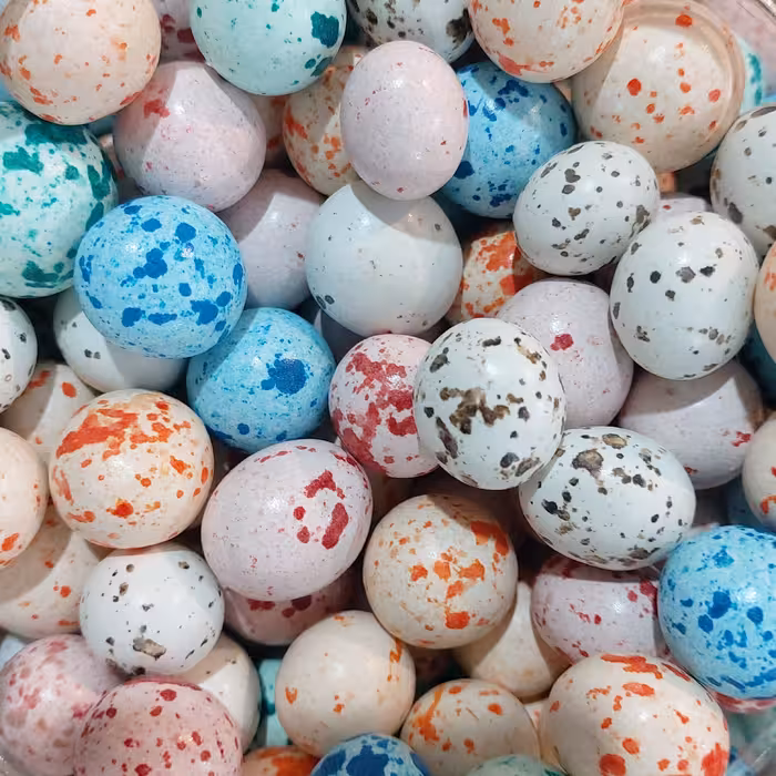 دراژه شکلاتی مدل بلدرچین نیم کیلویی