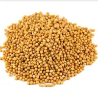 خردل سالم ( 200 گرم ) خردل ناساب