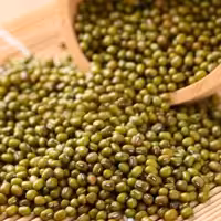 ماش ریز  10 کیلویی حبوبات گیاهینو ارسال رایگان اصفهان