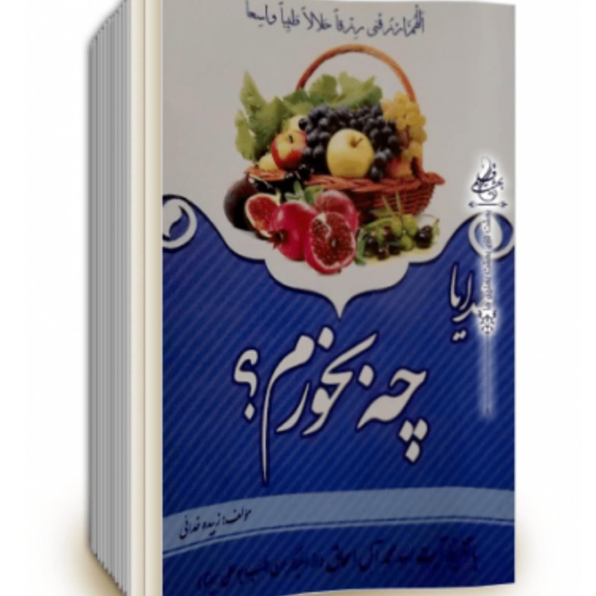 کتاب خدایا چه بخورم اثر زبیده خدائی