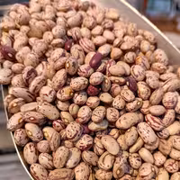 لوبیا چیتی اعلا