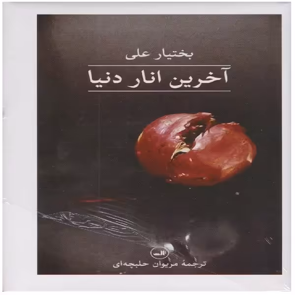 کتاب آخرین انار دنیا اثر بختیار علی نشر ثالث