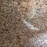 لوبیا چیتی درشت (400 گرم)