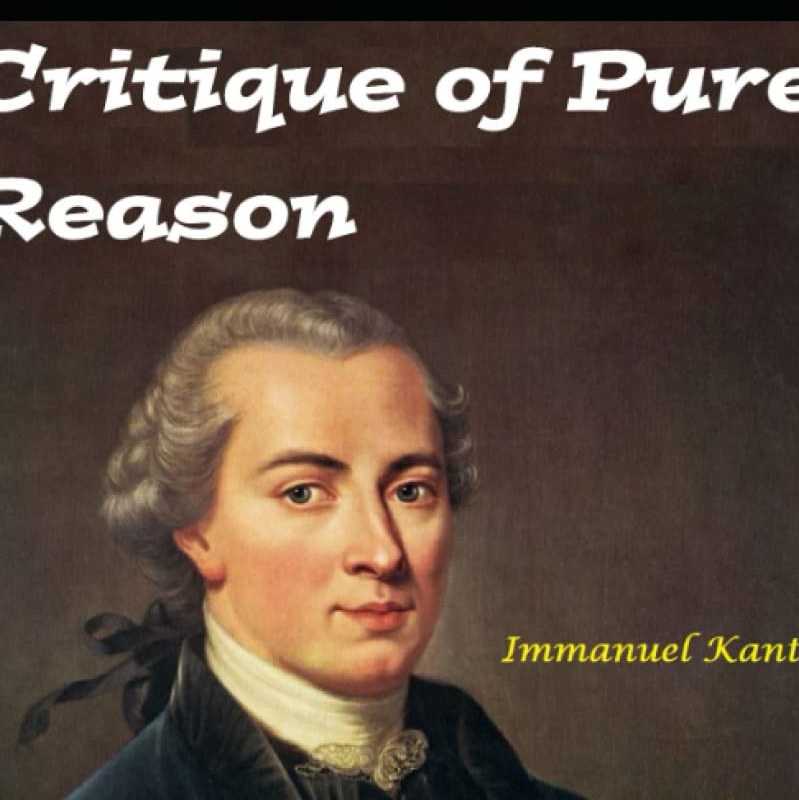 Critique of Pure Reason Kant Critique