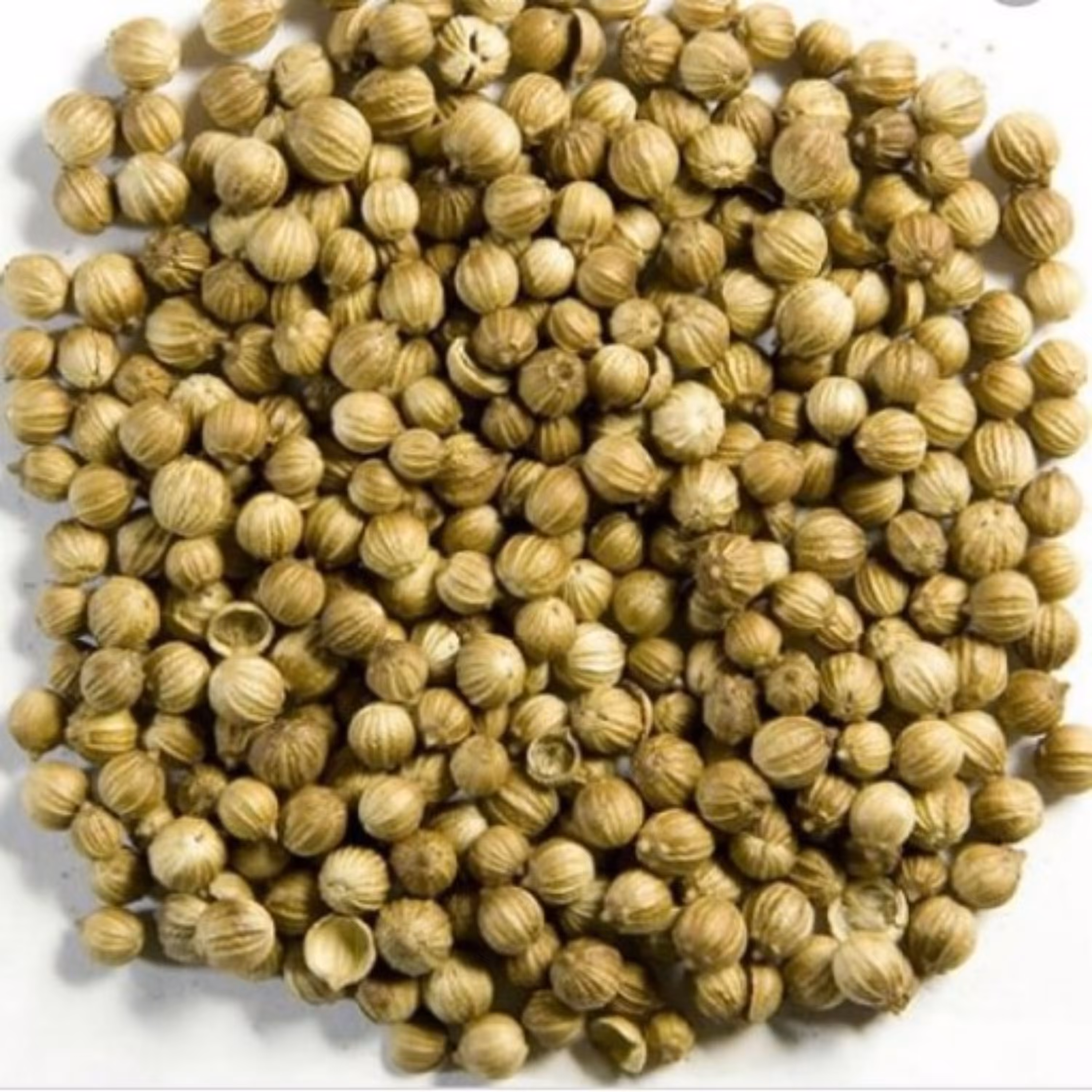 تخم گشنیز سورت شده و صادراتی (100 گرم)