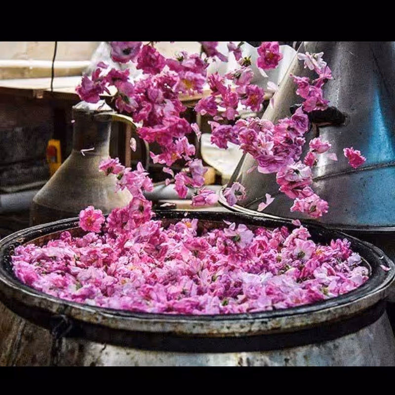 گلاب سنگین خانگی