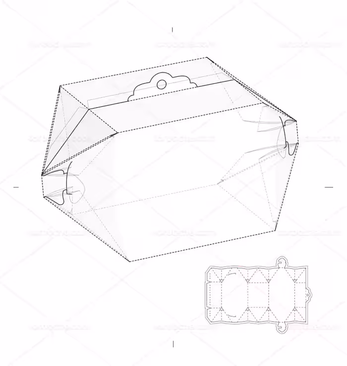 وکتور بسته بندی و طرح گسترده جعبه | گرافیک با طعم تربچه