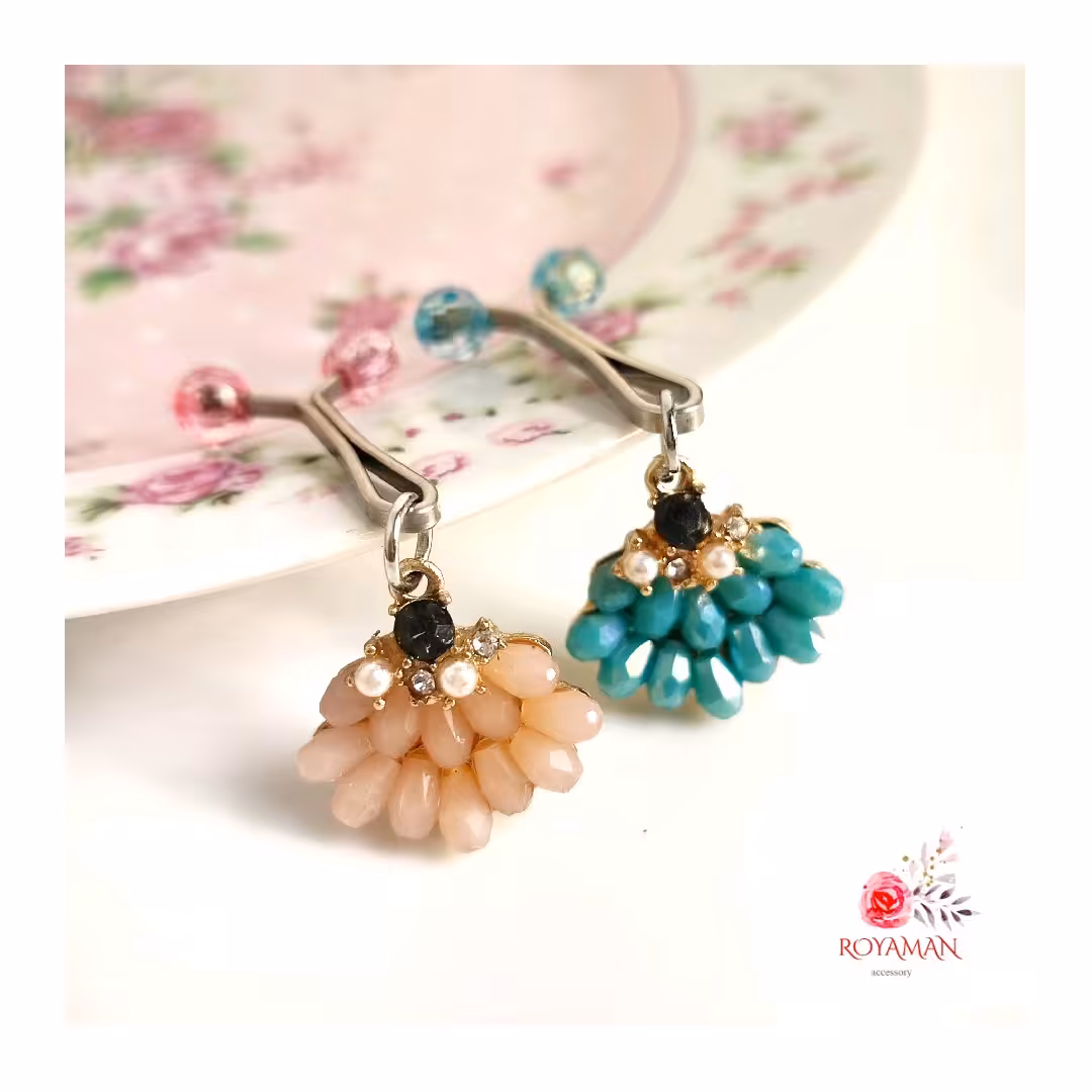 گیره استیل دلربا