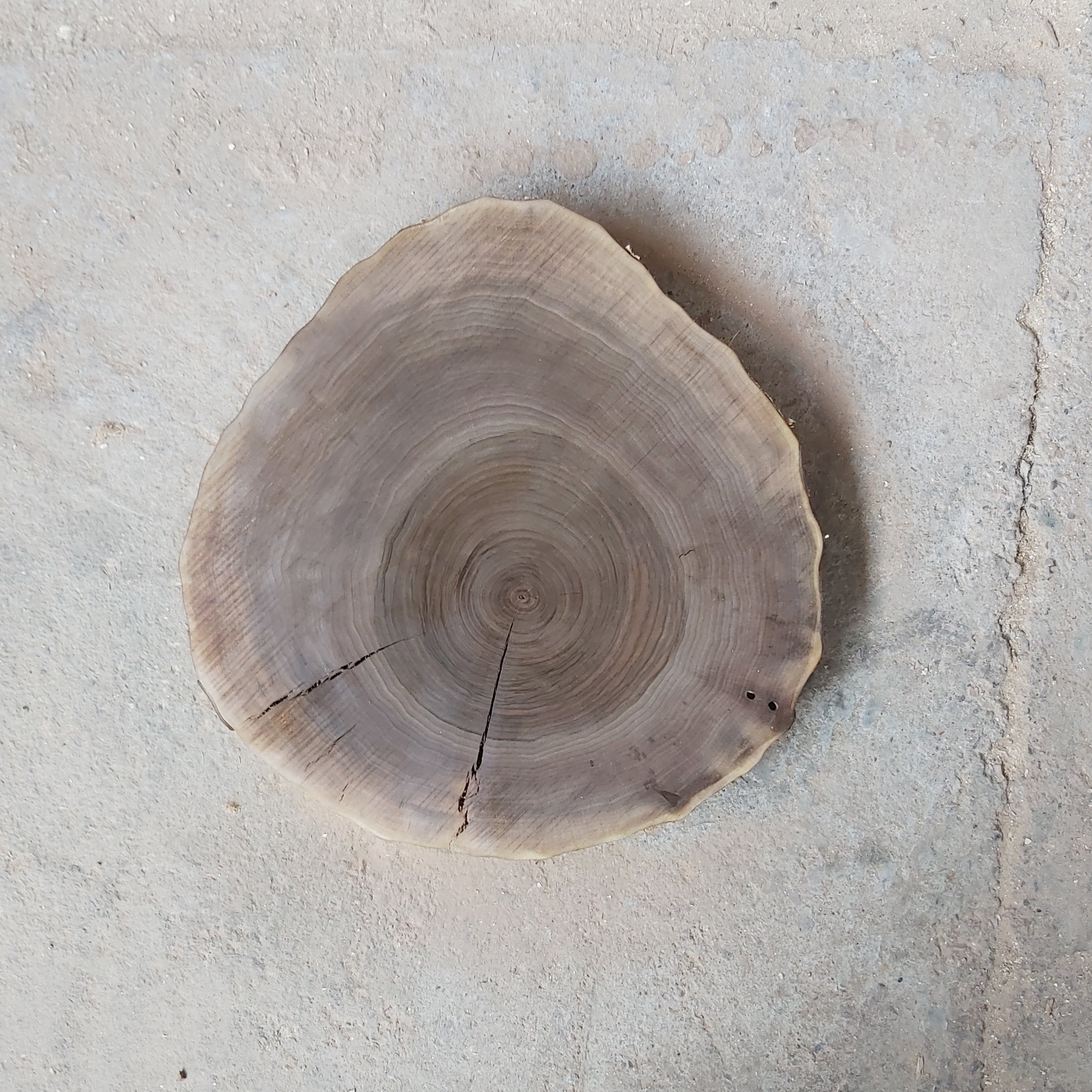 کالباسی چوب