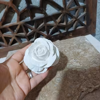 بیس خام گل رز ظریف قطر 8 سانت