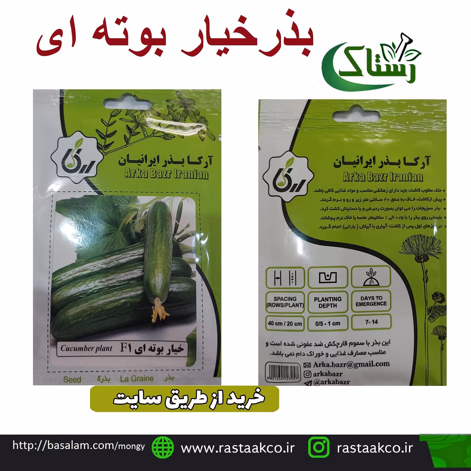 بذروتخم خیار بوته ای تبریز رستاک (10گرمی)