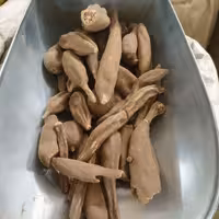 عود الصلیب 100 گرم فاوانیا