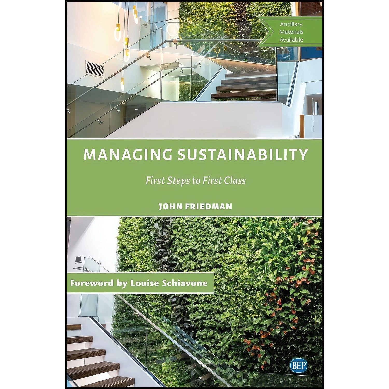 کتاب زبان اصلی Managing Sustainability اثر John Friedman