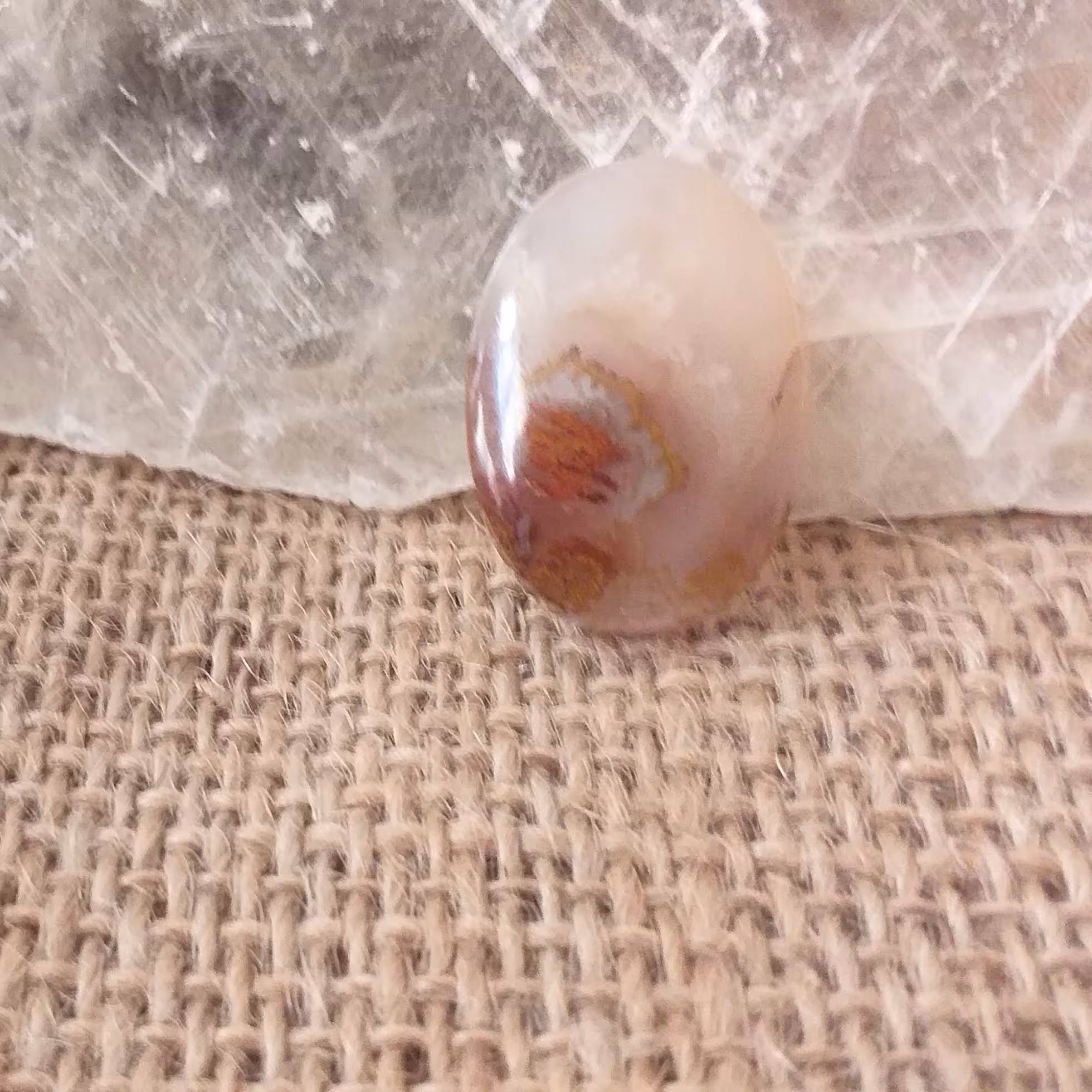 نگین شجر منظره خاص