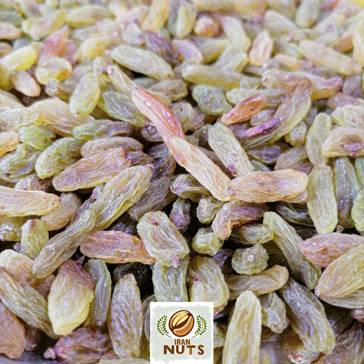 کشمش سبز اعلاء کاشمر ( 450 گرمی )- ارسال رایگان
