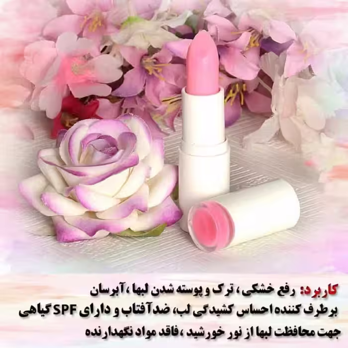 رژلب ویتامینه آرگان کاملا گیاهی و طاهر بالم لب رایحه بلوبری  آنلاین شاپ محمد