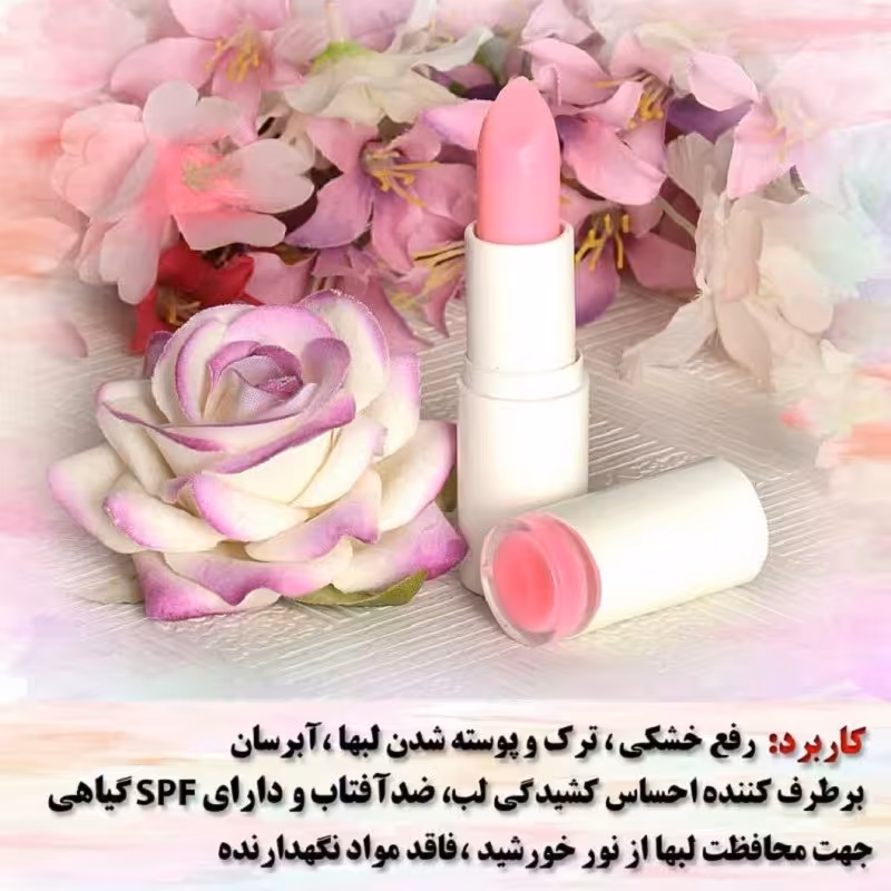 رژلب ویتامینه آرگان کاملا گیاهی و طاهر بالم لب رایحه بلوبری  آنلاین شاپ محمد