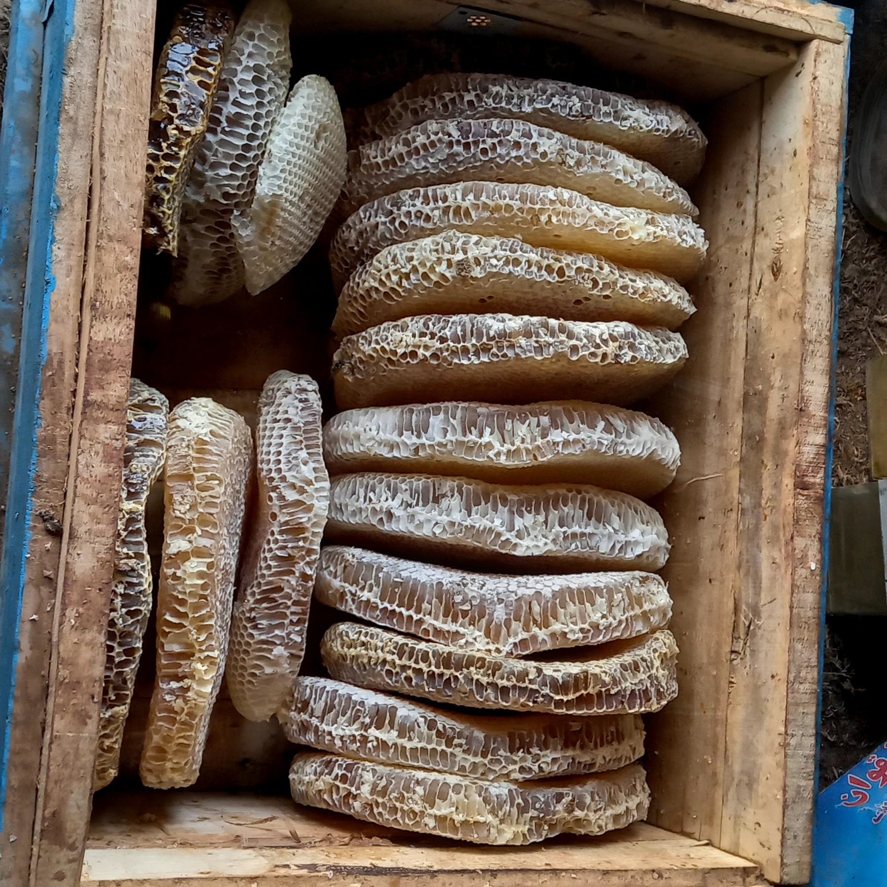عسل طبیعی باکندوی سنتی سبد مخصوص آذربایجان شرقی شهرستان مراغه روستای اشان