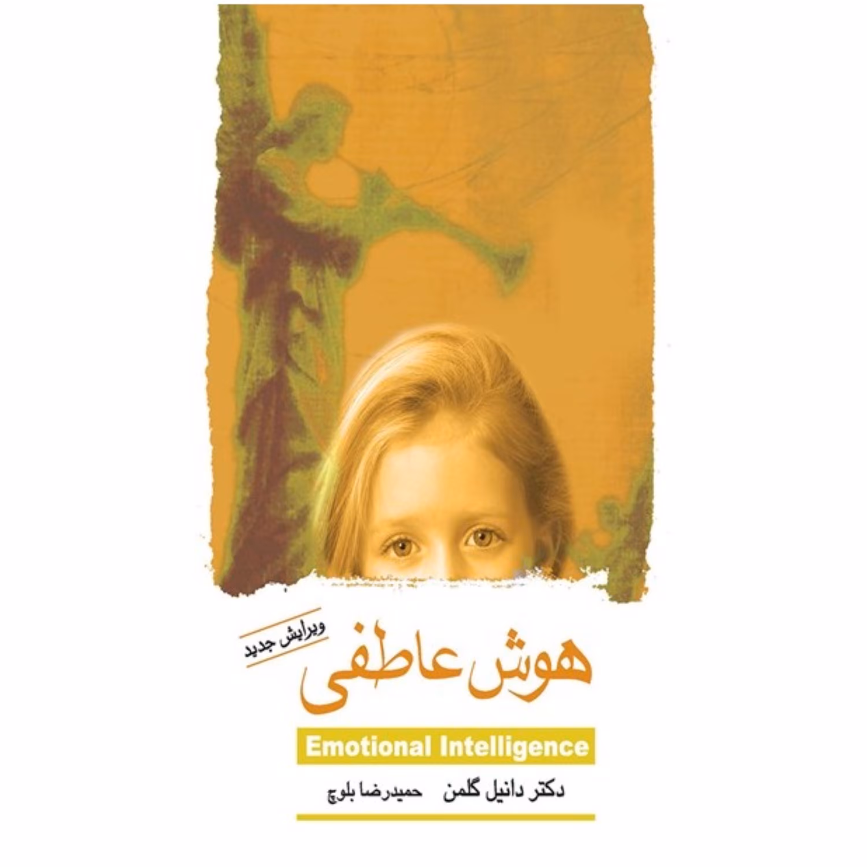 هوش عاطفی ترجمه دیگر هوش هیجانی دانیل گلمن ترجمه حمیدرضا بلوچ