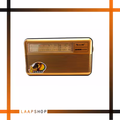 اسپیکر رادیویی گولون مدل BT169