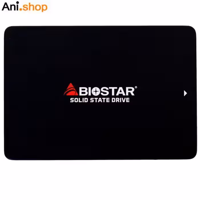 اس اس دی اینترنال بایوستار مدل S100 ظرفیت 120 گیگابایت با گارانتی 2 ساله کد 416