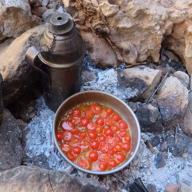 شامورتی یا گِداجوش - دمنوش و چای آتیشی