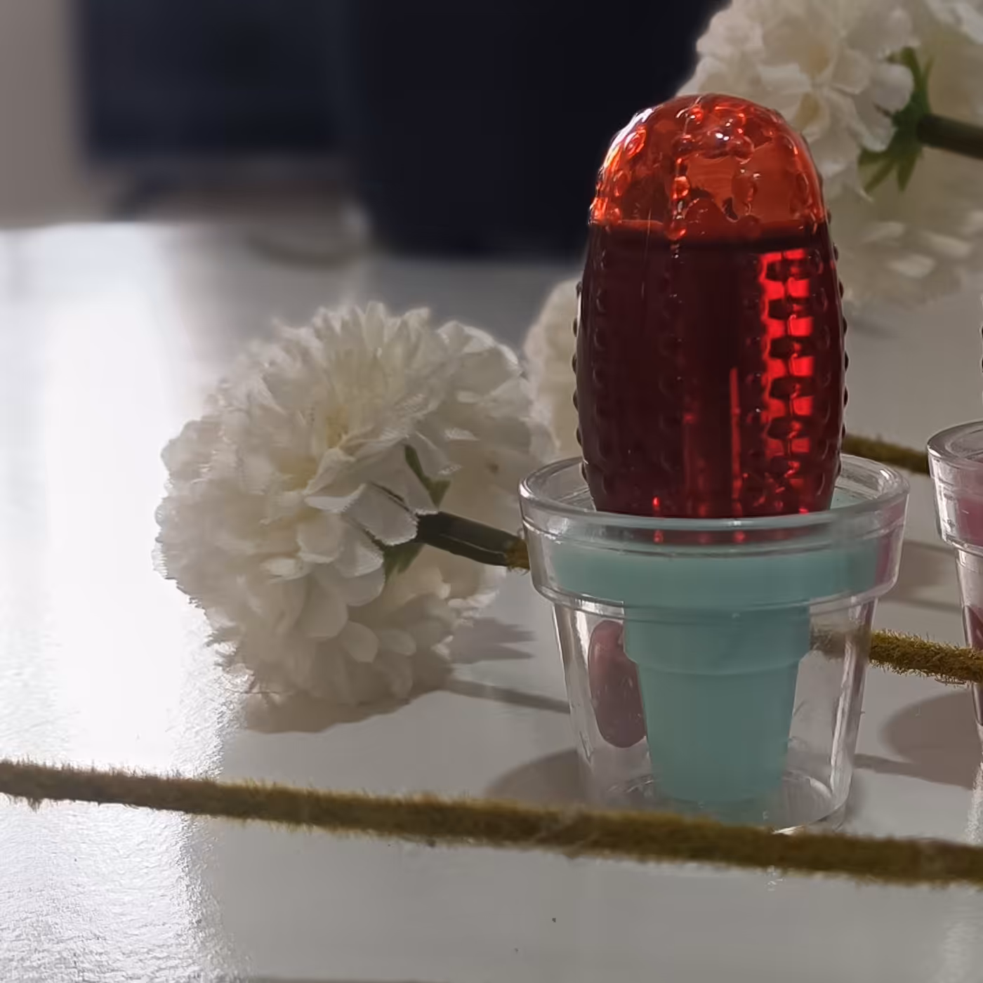 تینت لب فاقد سرب طرح کاکتوس