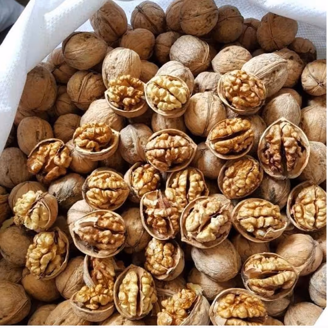 گردو تویسرکان 1402.(500گرمی). مغز سفیدوچرب