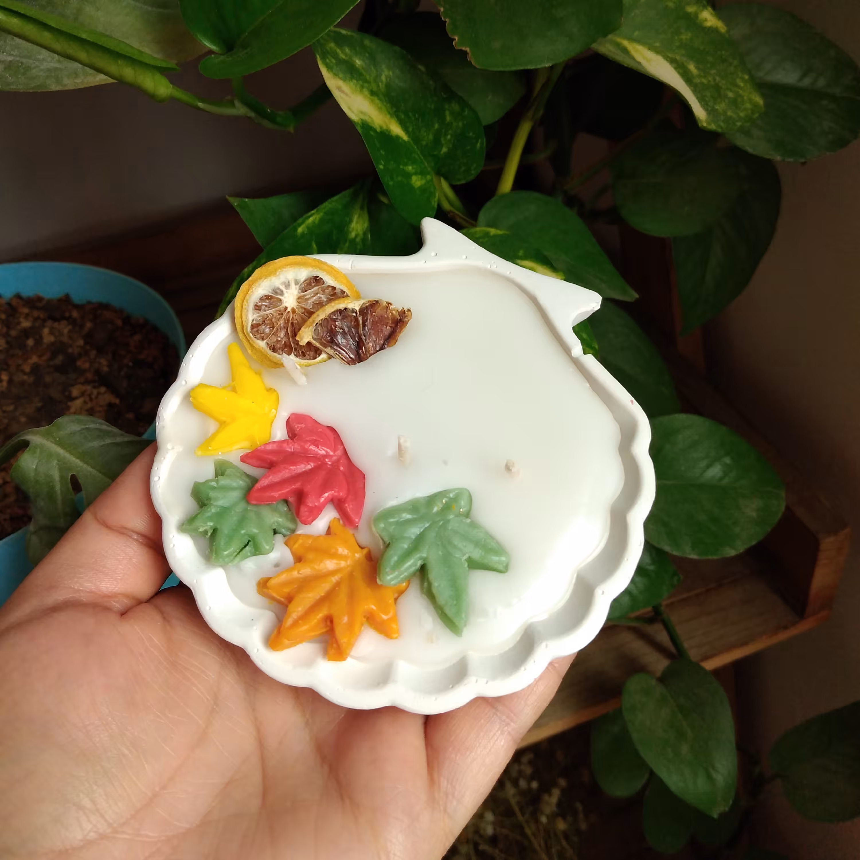 شمع صدف طرح پاییز