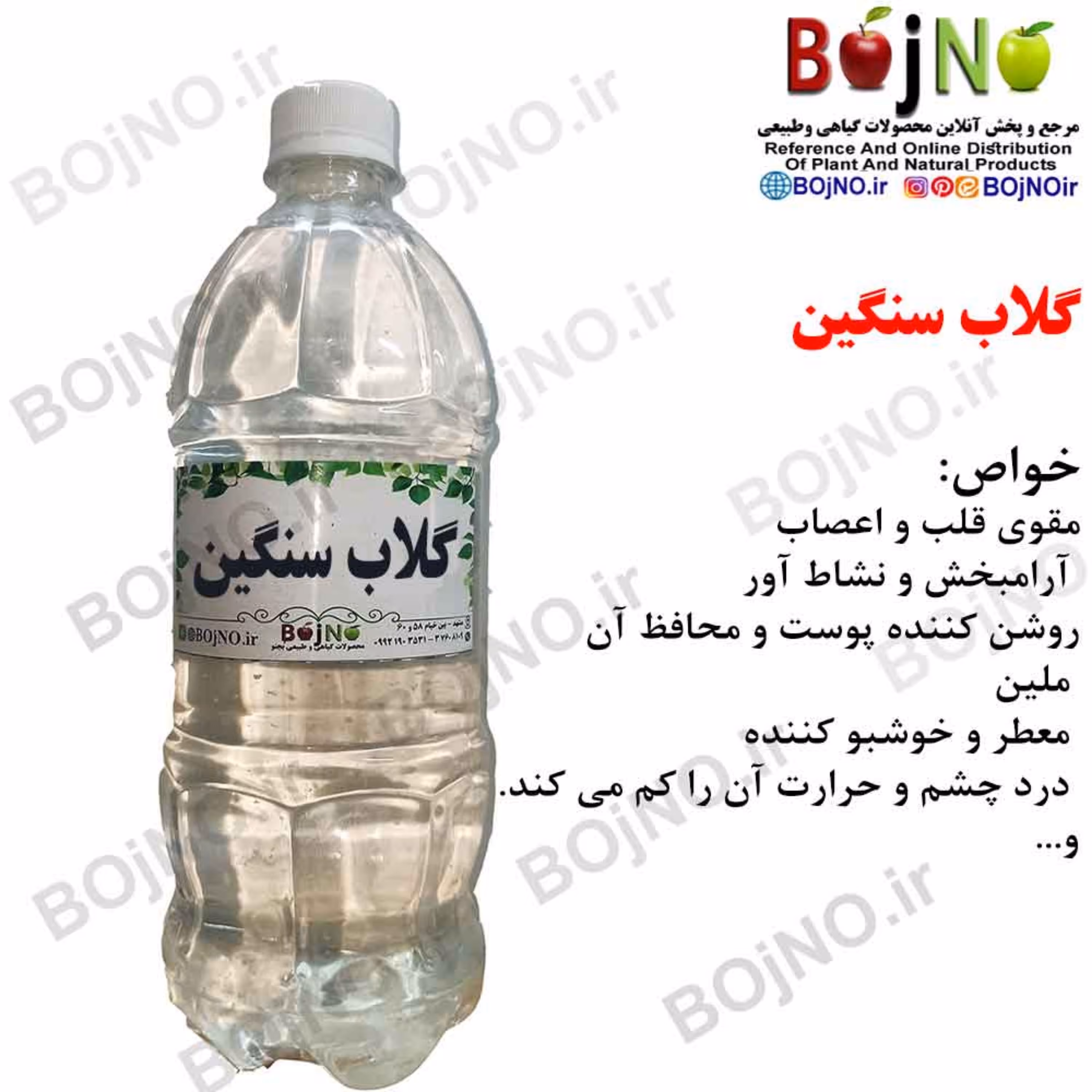 گلاب سنگین بجنو (آب چشمه)