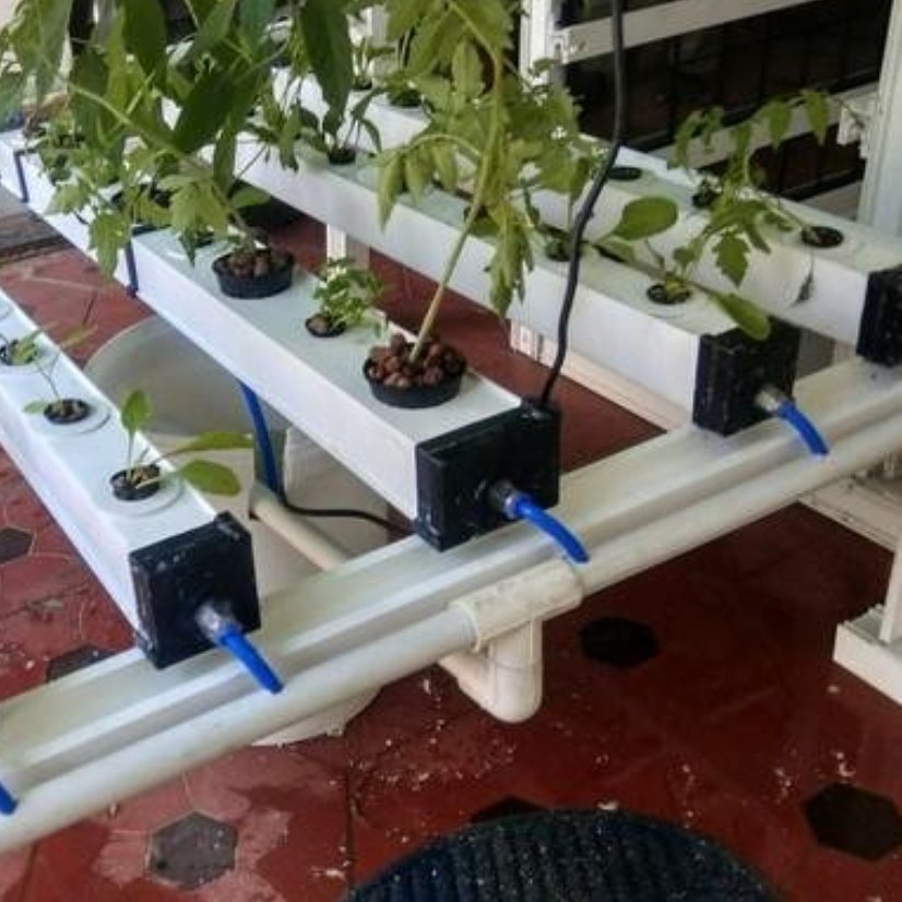 سیستم ان اف تی کامل NFT System